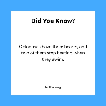 Free Simple Factoid Icon Template to Edit Online