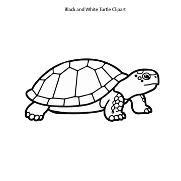 Free Black and White Turtle Clipart to Edit Online