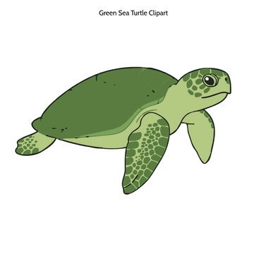 Free Green Sea Turtle Clipart to Edit Online