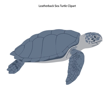 Free Leatherback Sea Turtle Clipart to Edit Online