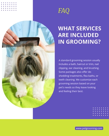 Free Grooming FAQ Instagram Post Template to Edit Online