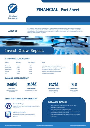 Free Financial Fact Sheet Template to Edit Online