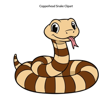Free Copperhead Snake Drawing Vector Clipart (PNG, SVG) to Edit Online