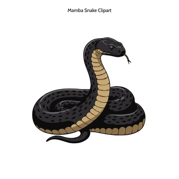 Free Mamba Snake Drawing Vector Clipart (PNG, SVG) to Edit Online