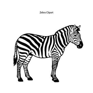 Free Zebra Animal Vector Clipart (PNG, SVG) to Edit Online