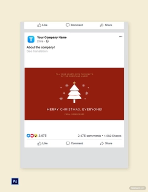 Merry christmas facebook post Template