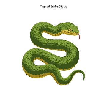 Free Tropical Snake Clipart to Edit Online