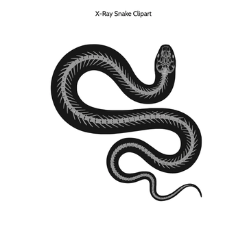Free X-Ray Snake Clipart to Edit Online