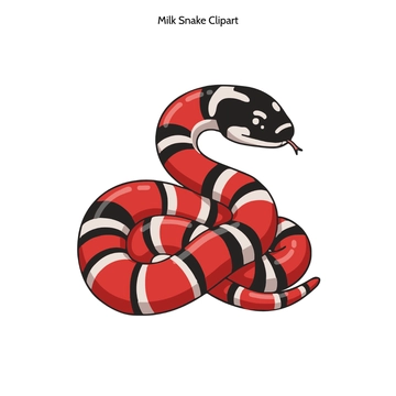 Free Milk Snake Clipart to Edit Online