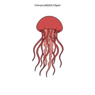 Free Crimson Jellyfish Vector Clipart (PNG, SVG) to Edit Online