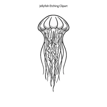 Free Jellyfish Etching Outline Vector Clipart (PNG, SVG) to Edit Online
