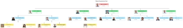 Free Walmart Organizational Chart to Edit Online