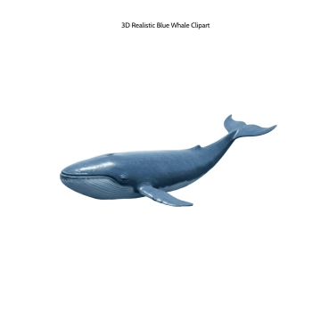 Free 3D Realistic Blue Whale Clipart Template to Edit Online
