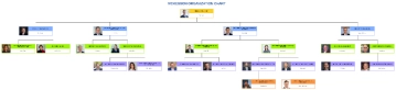 Free McKesson Organizational Chart to Edit Online