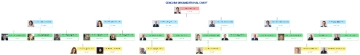 Free Cencora Organizational Chart to Edit Online