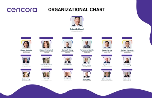 Free Cencora Organizational Chart to Edit Online Free Cencora Organizational Chart to Edit Online