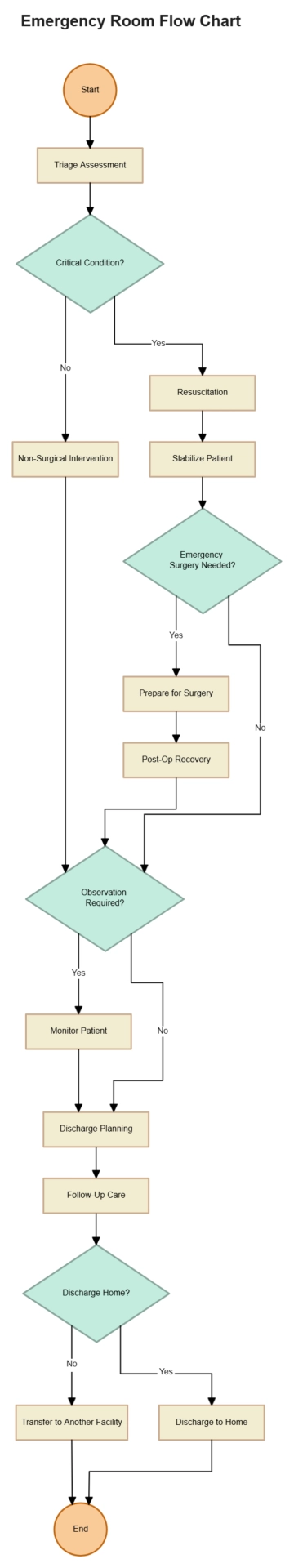 Free Emergency Room Flow Chart to Edit Online