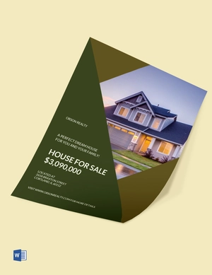 Sample Real Estate Flyer Template