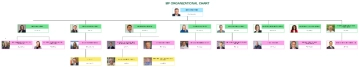 Free BP Organizational Chart to Edit Online