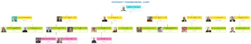 Free Microsoft Organizational Chart to Edit Online
