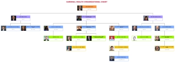 Free Cardinal Health Organizational Chart to Edit Online