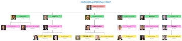 Free Cigna Organizational Chart to Edit Online