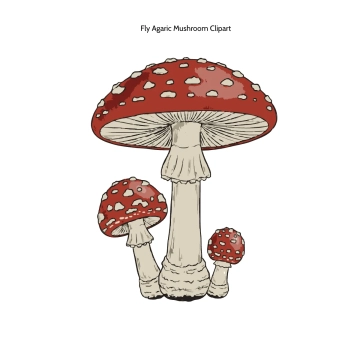 Free Fly Agaric Mushroom Clipart Template to Edit Online