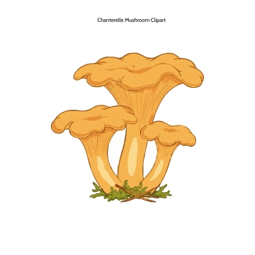 Free Chanterelle Mushroom Clipart Template to Edit Online
