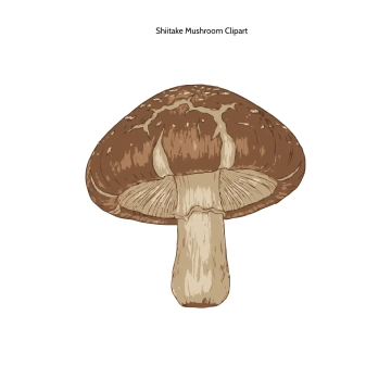 Free Shiitake Mushroom Clipart Template to Edit Online