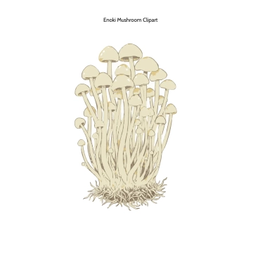 Free Enoki Mushroom Clipart Template to Edit Online