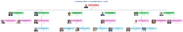 Free Elevance Health Organizational Chart to Edit Online