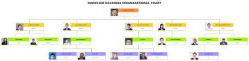 Free Sinochem Holdings Organizational Chart to Edit Online Free Sinochem Holdings Organizational Chart to Edit Online