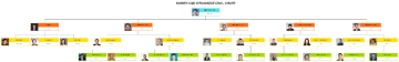 Free Xiamen C&D Organizational Chart to Edit Online Free Xiamen C&D Organizational Chart to Edit Online