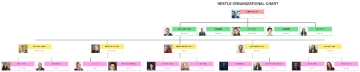 Free Nestle Organizational Chart to Edit Online Free Nestle Organizational Chart to Edit Online