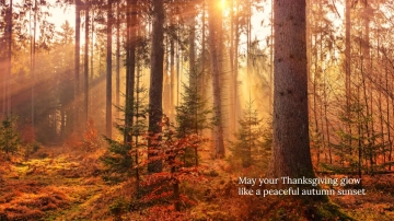Free Thanksgiving Scenery Desktop Wallpaper Template to Edit Online