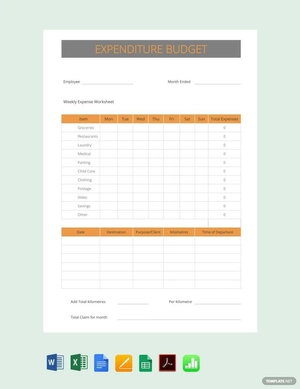 Sample Expenditure Budget Template