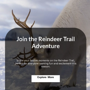 Free Reindeer Trail Facebook Post Template to Edit Online