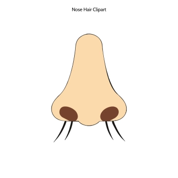 Free Nose Hair Vector Clipart (PNG, SVG) to Edit Online