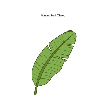 Free Banana Leaf Vector Clipart (PNG, SVG) to Edit Online