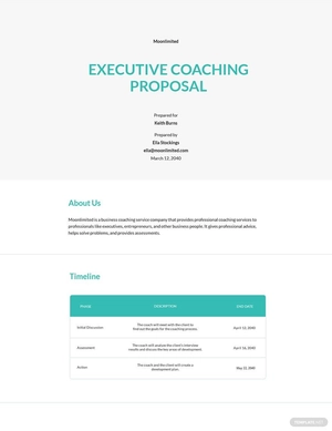 Executive Coaching Proposal Template Executive Coaching Proposal Template