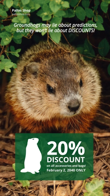 Free Funny Groundhog Day Whatsapp Post Template to Edit Online