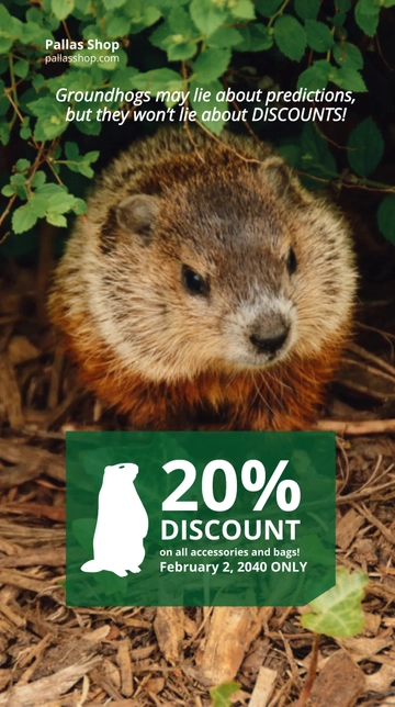 Free Funny Groundhog Day Instagram Story Template to Edit Online