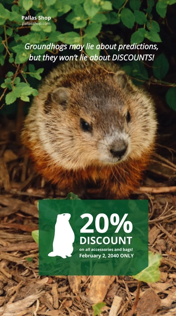 Free Funny Groundhog Day Snapchat Geofilter Template to Edit Online