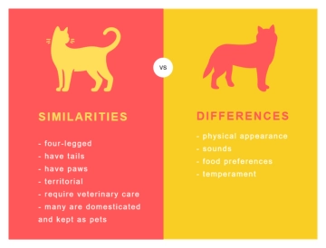 Free Red and Yellow T Chart to Edit Online
