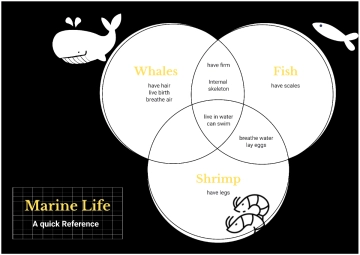 Chalkboard Style Venn Diagram