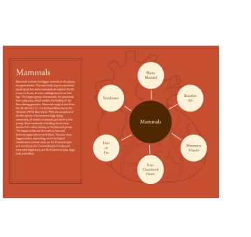 Free Orange and Brown Heart Bubble Map to Edit Online