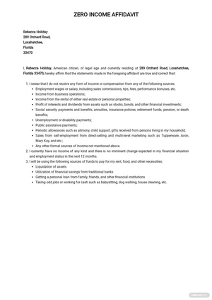 Financial Affidavit with No Income Template