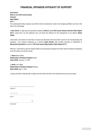 Financial Sponsor Affidavit of Support Template