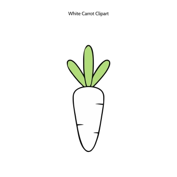 Free White Carrot Vector Clipart (PNG, SVG) to Edit Online