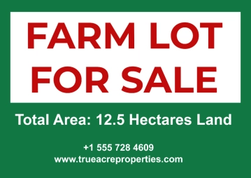 Free Farm Lot For Sale Real Estate Sign Template to Edit Online